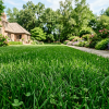 Green grass lawn with flower beds, stone path, and a brick house